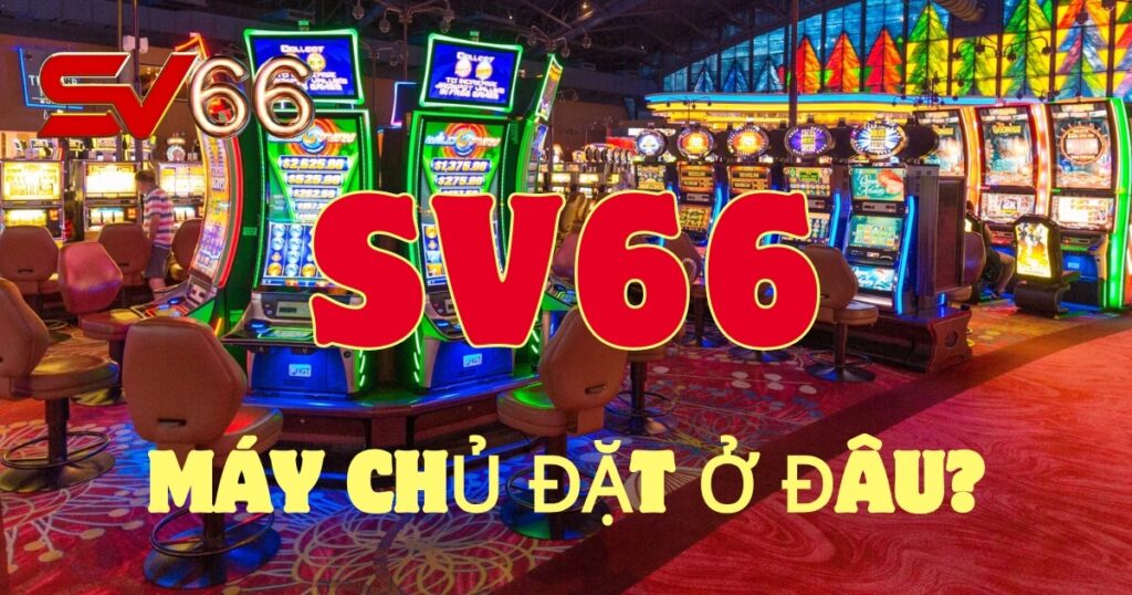 Máy chủ SV66 đặt ở đâu để tiếp cận cược thủ Việt Nam