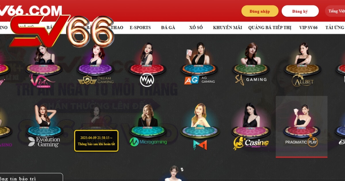 Pragmatic Play đang là đối tác của trang nhà cái SV66