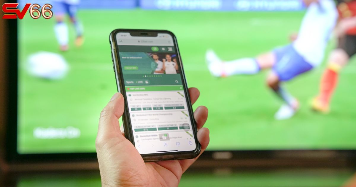 SV66 - Nhà cái hàng đầu Việt Nam