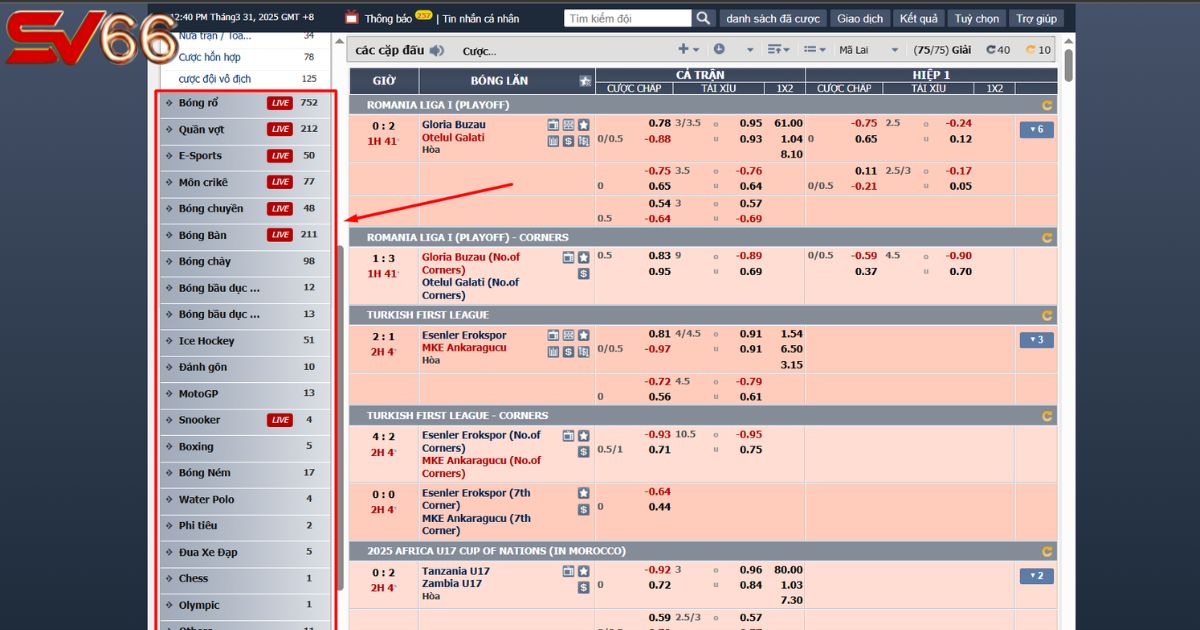 Vô số bộ môn thể thao dành cho người chơi cá cược