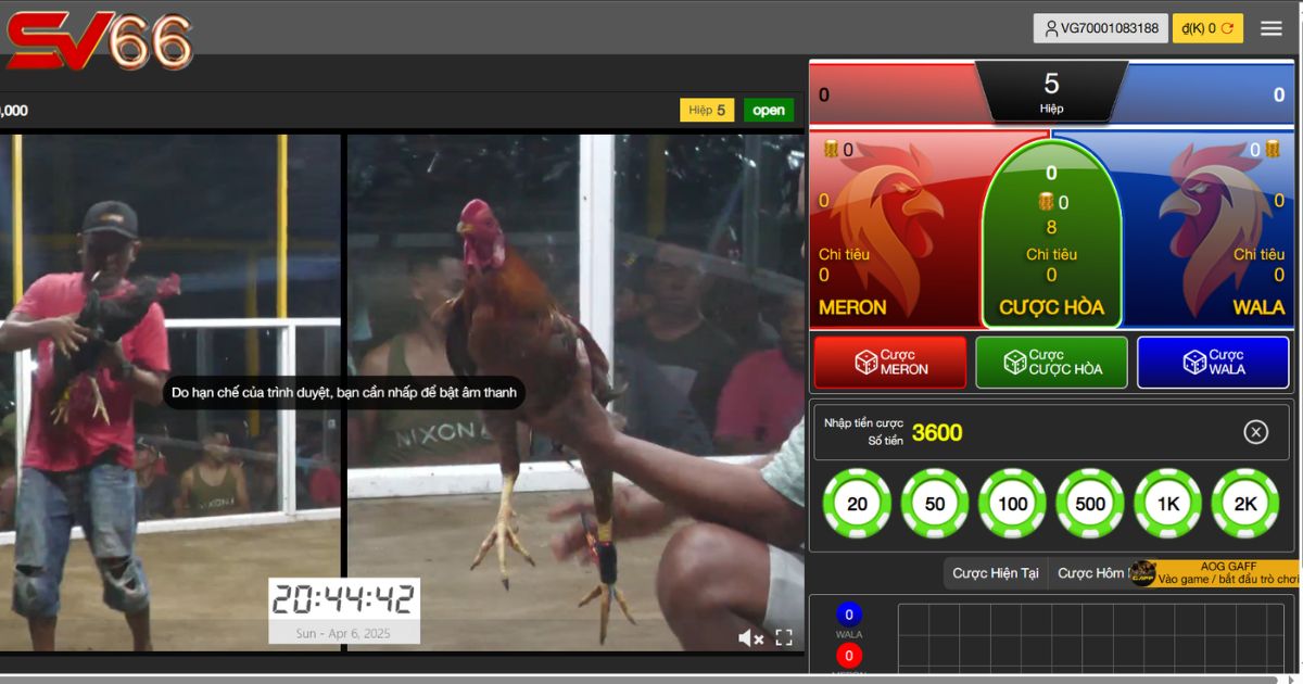 Giao diện cược cơ bản tại sảnh đá gà SV66